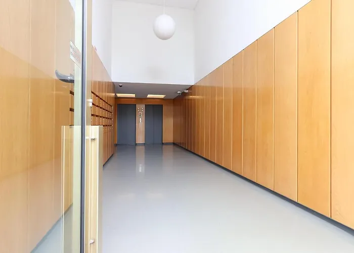 公寓 霍铭艾伏尼德勒斯诺瓦斯现代明亮公寓